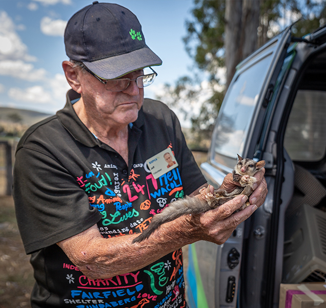 volunteer jeff rspca animal ambulance rspca queensland